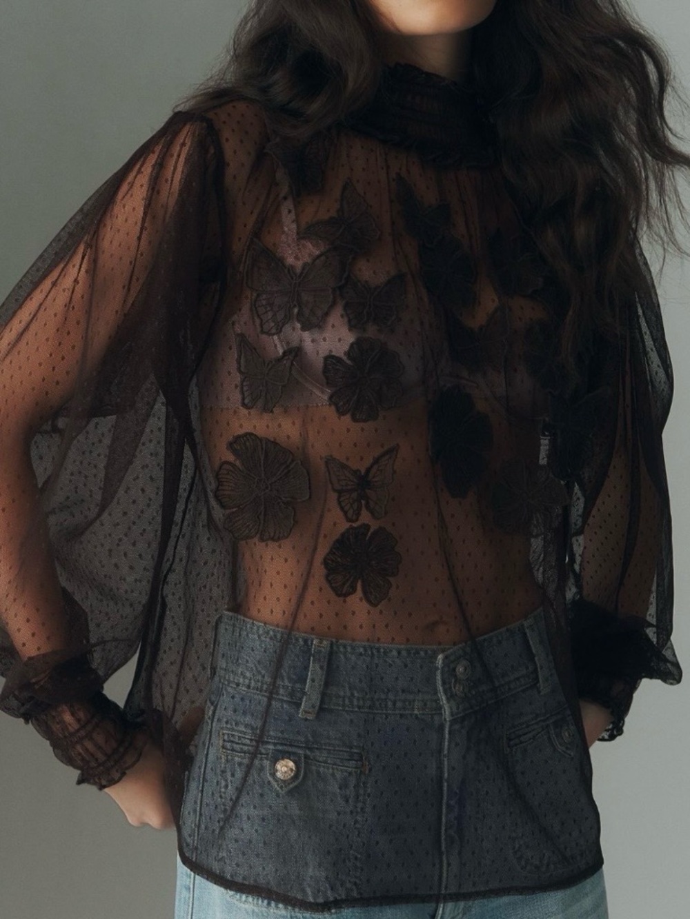 Sheer Black Butterfly Embroidered Long-Sleeve Top